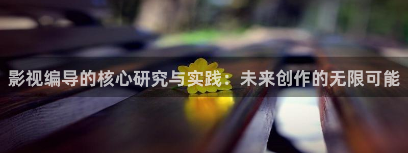金牌影院最新影视大全：影视编导的核心研究与实践：未来创作的无限可能