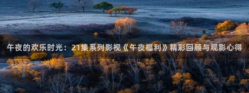 金牌电影免费观看：午夜的欢乐时光：21集系列影视《午夜福利》精彩回顾与观影心得
