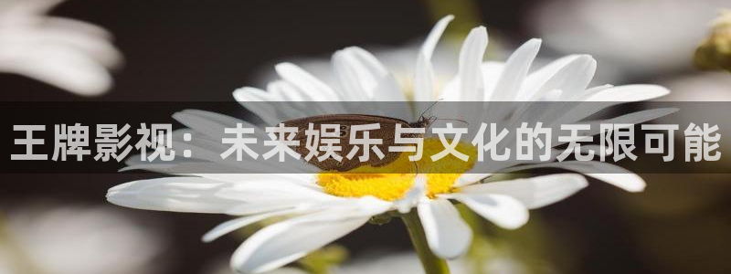 韩国电影金牌销售：王牌影视：未来娱乐与文化的无限可能