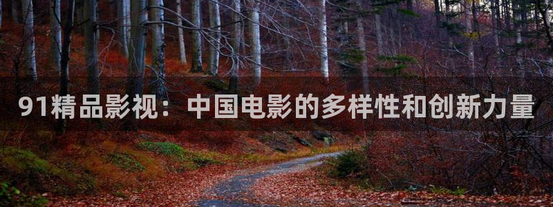 金牌女警电影：91精品影视：中国电影的多样性和创新力量