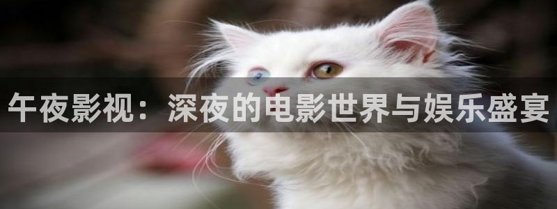 金牌特勤队电影免费播放：午夜影视：深夜的电影世界与娱乐盛宴
