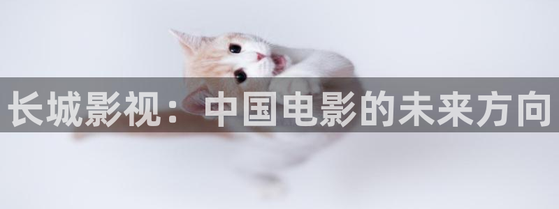 电影金牌女仵作之阴阳法尺：长城影视：中国电影的未来方向