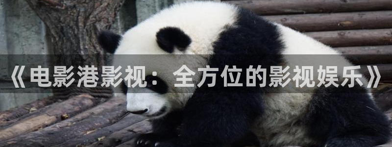 金牌影视在线观看：《电影港影视：全方位的影视娱乐》